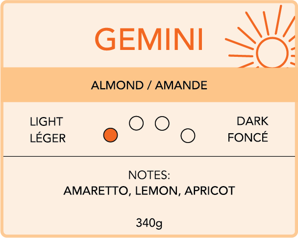 Gemini - Light-Medium | Léger-Moyen